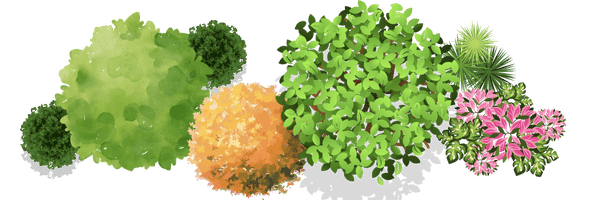 Top 4 Benefits of Biannual Trimming for Ornamental Plants